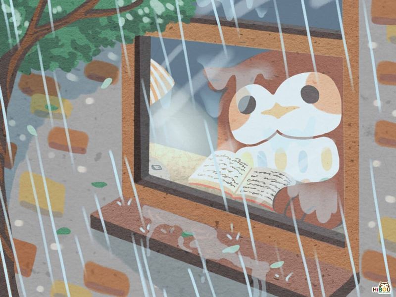 梅雨季寶寶衣物清洗攻略